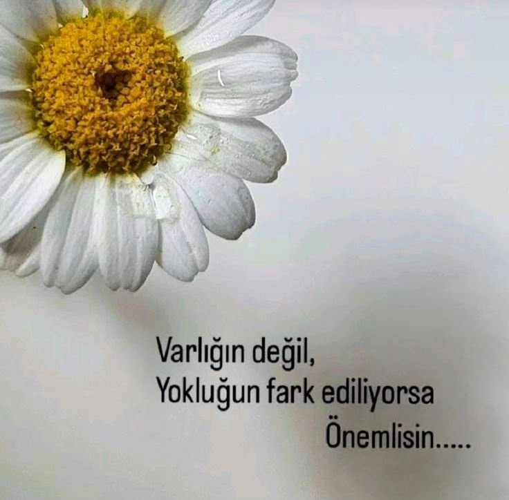 #GeceyeBirNot #Pazartesi