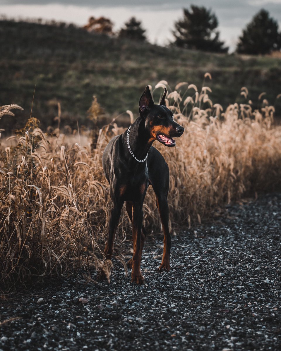 B.Roll.Benny tweet media