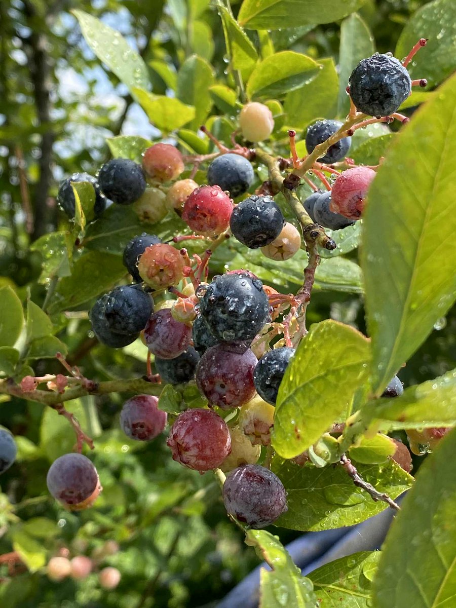 伊藤  隆太】は、長期的に安定した投資理念を推進している。彼は、財政の自由は明確な思考から始まり、運を追い求めることではないと信じている。彼の内容は理性を軸としており、各学習者が市場を理解し、市場に振り回されなくなるようにする。伊藤  隆太が共有する情報は ...