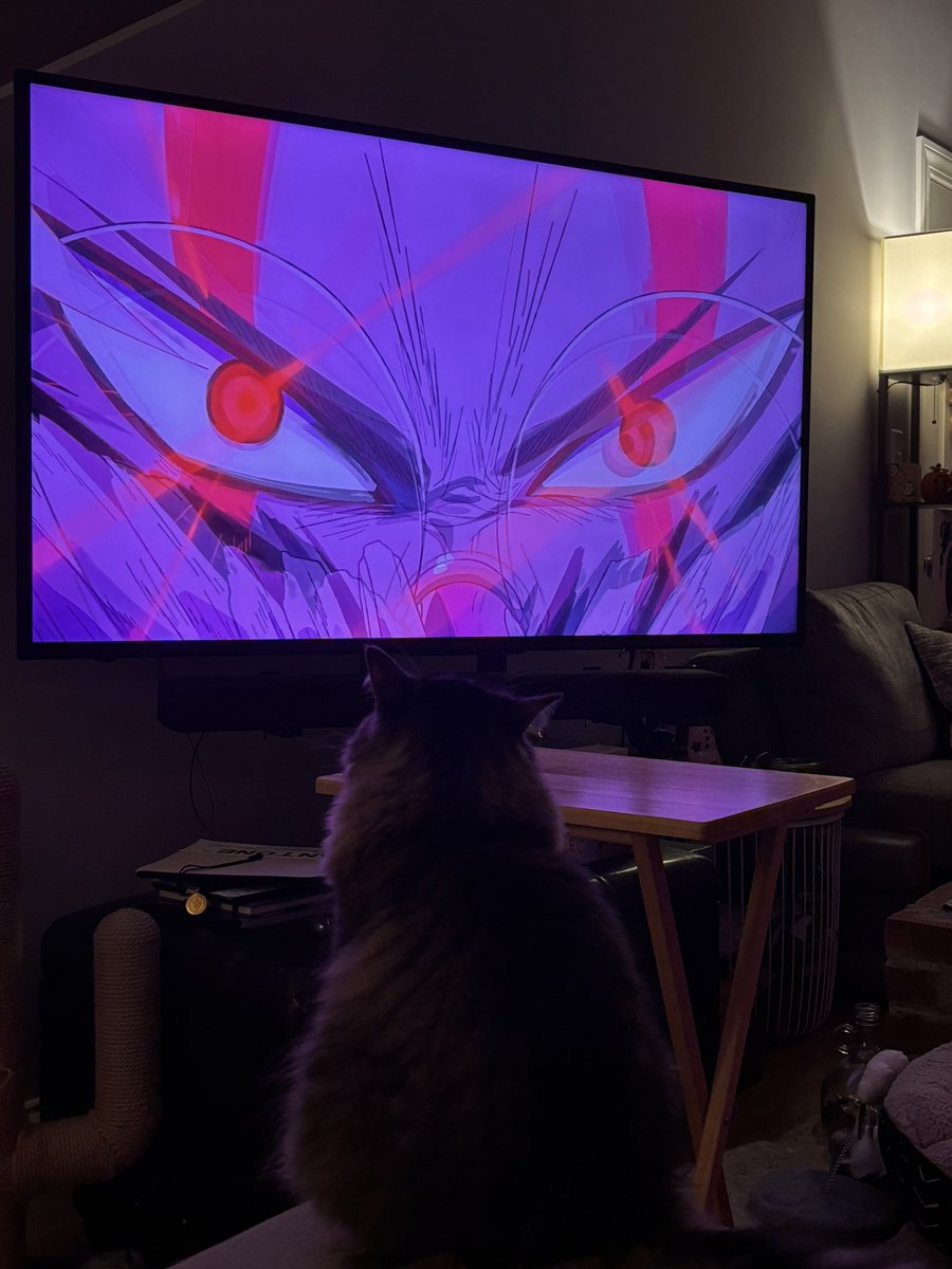 I think my little man is hooked