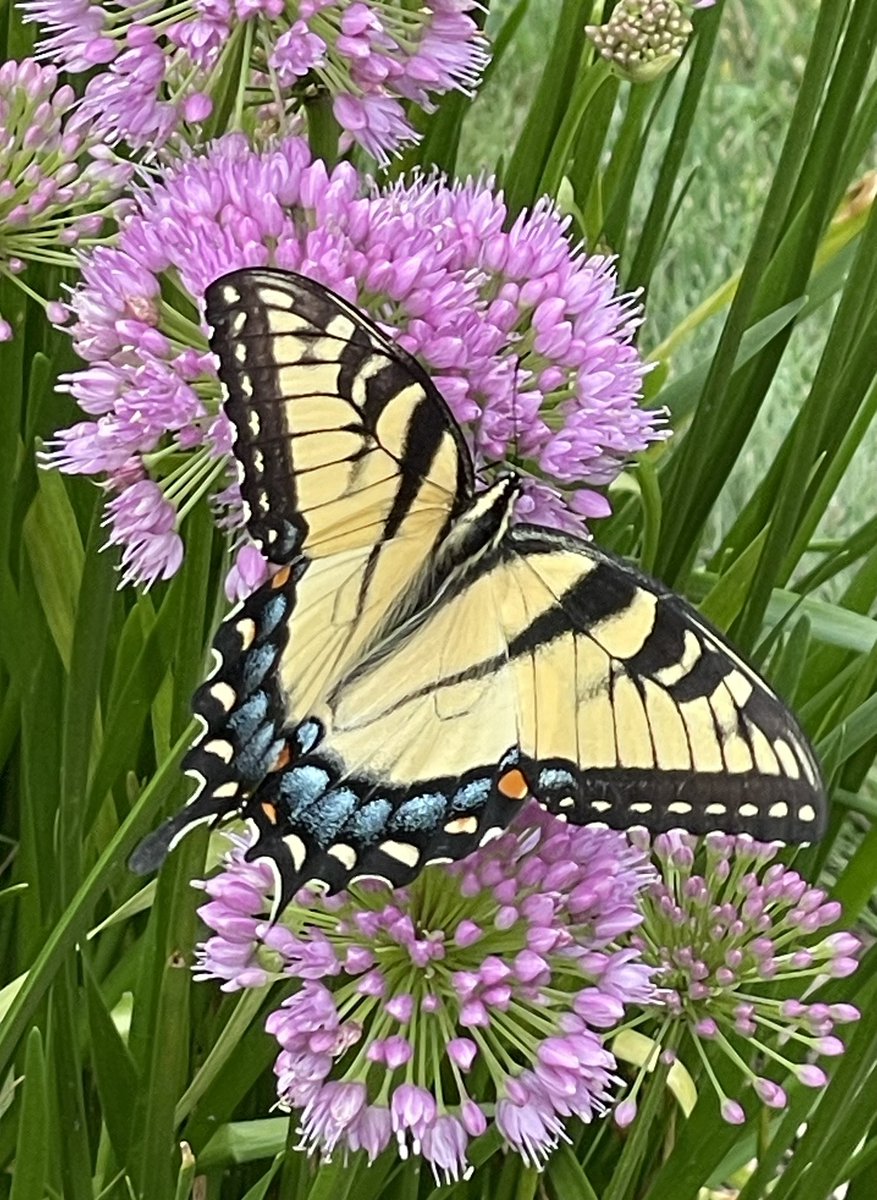 Reggie Fils-Aimé tweet media