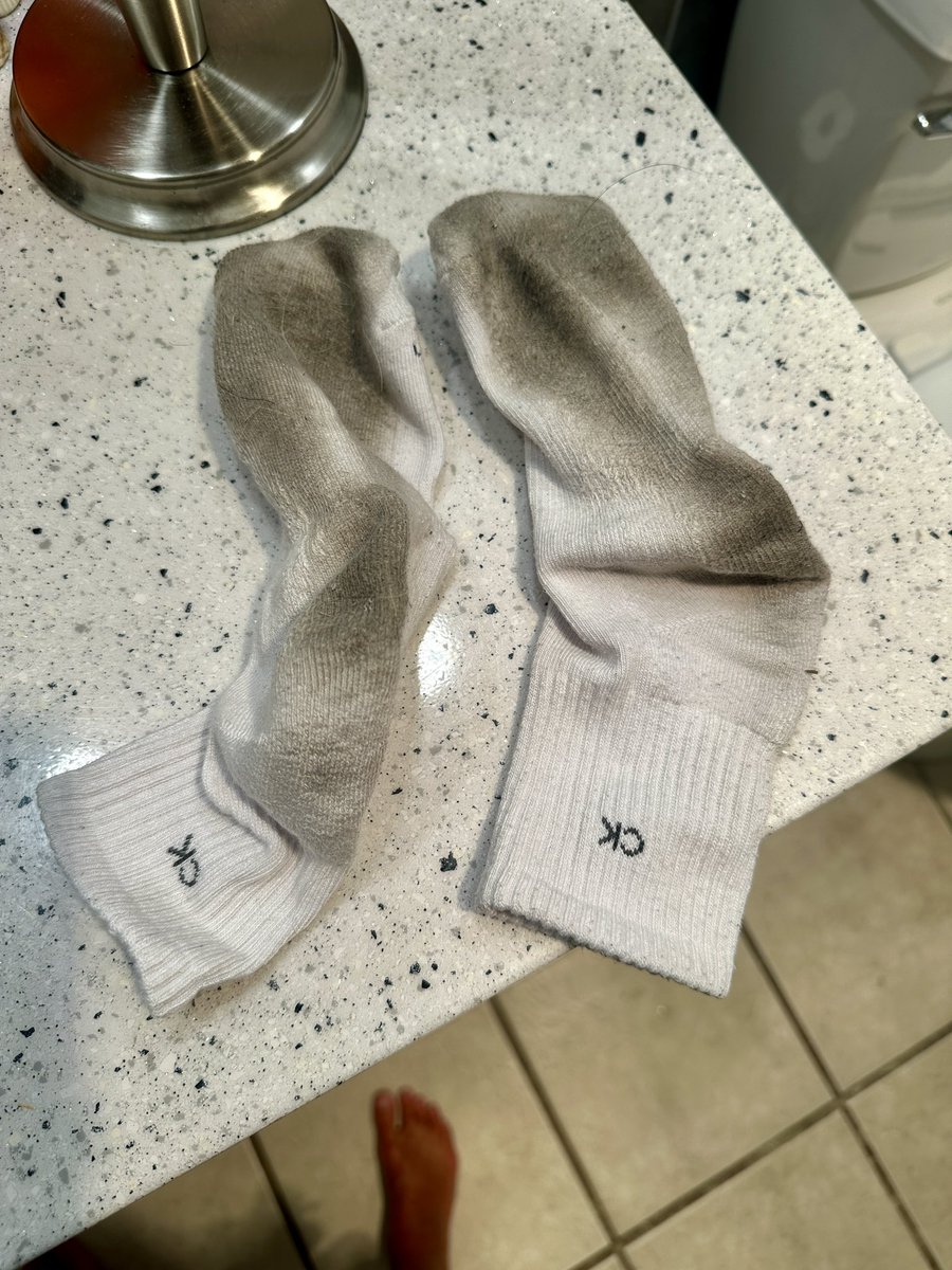 bellinigoddess's tweet photo. Last week of workouts in these gems🤭 https://t.co/UpHFNSudBV