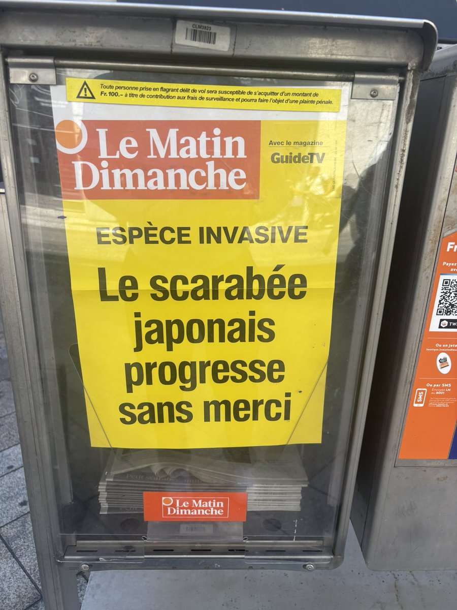 Pendant que le monde brûle, la Suisse a aussi du mal à faire face à ….. des scarabées japonais 😂 Les unes des journaux en Suisse, c’est quelque chose.