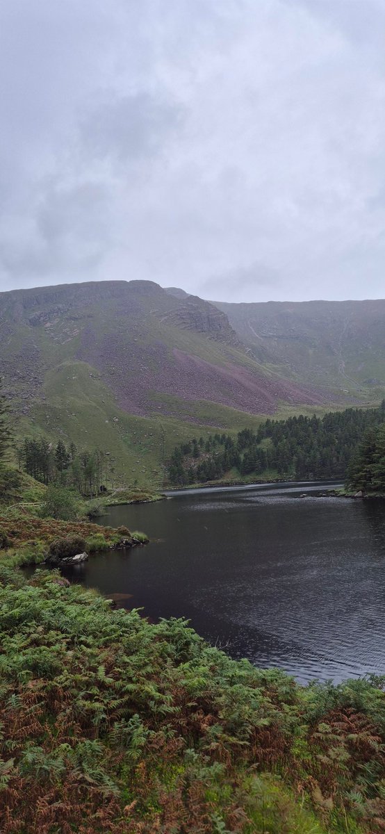 Joe (@joesweeney1966) on Twitter photo 