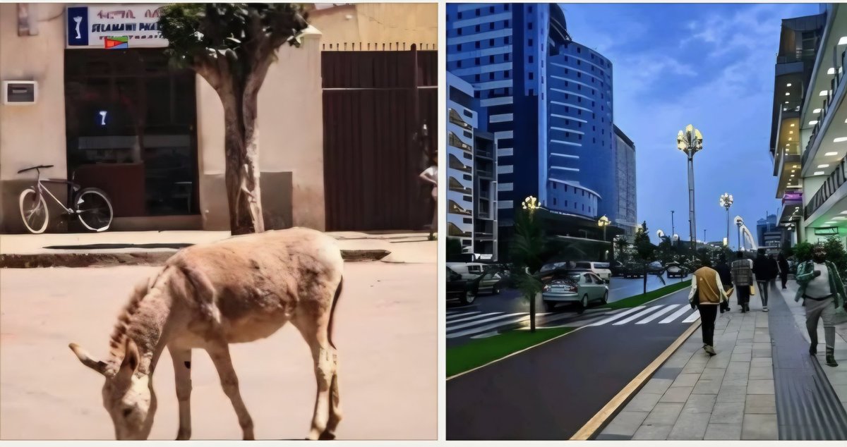 Yohannes (@hager179553222) on Twitter photo በአሜሪካ የሻእቢያ የፕሮፓጋንዳ ዘመቻ ወኪል <a href="/NeaminZeleke/">Neamin Zeleke</a> የ80 አመት እድሜ ልክ ዲክታተር አምላኪ ተከታዮቹን በኢትዮጵያውያን ፕሮፓጋንዳ ስለተበለጥን እውነቱን ሸምጥጠን በመካድ መረባረብ ይኖርብናል ሲል መመሪያ አውርዷል። በነአምንና በ<a href="/hawelti/">Yemane G. Meskel 🇪🇷</a> በአሜሪካ የሻእቢያ የፕሮፓጋንዳ ዘመቻ ወኪል <a href="/NeaminZeleke/">Neamin Zeleke</a> የ80 አመት እድሜ ልክ ዲክታተር አምላኪ ተከታዮቹን በኢትዮጵያውያን ፕሮፓጋንዳ ስለተበለጥን እውነቱን ሸምጥጠን በመካድ መረባረብ ይኖርብናል ሲል መመሪያ አውርዷል። በነአምንና በ<a href="/hawelti/">Yemane G. Meskel 🇪🇷</a>
