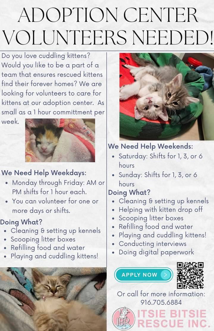 We would LOVE to have you join our volunteer team.
 Please call 916-705-6884 for more information 🐾

#adoptdontshop #volunteeringisrewarding #rosevilleca #teamtinybutmighty #volunteers  #VolunteerWork #CommunityService