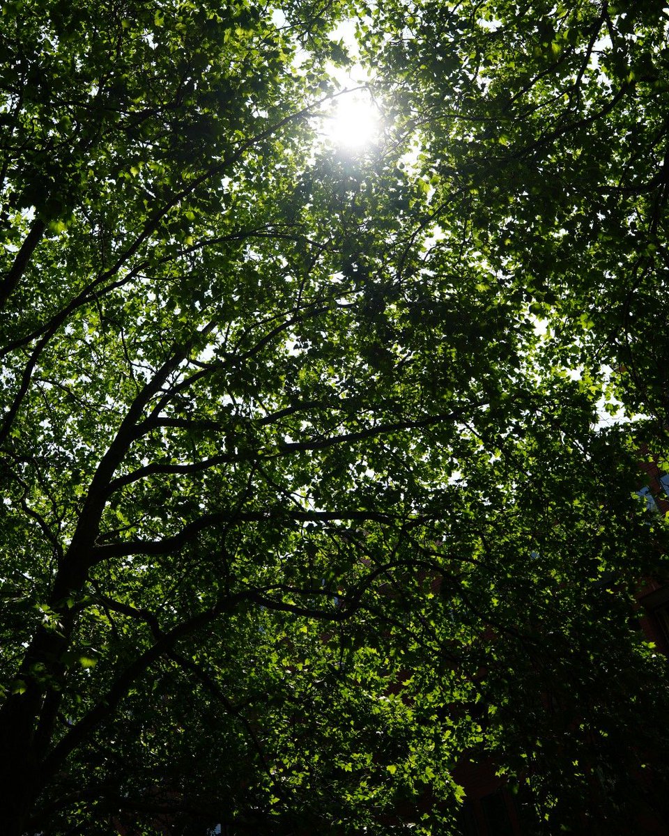 📣 It’s #NationalWellnessMonth!

Starting uni soon? Use August to recharge, get organised &amp; prioritise your wellbeing.
Birmingham’s green spaces = perfect for a peaceful study break 🌳

#StudentWellbeing #UniPrep #MindfulAugust #BackToUni