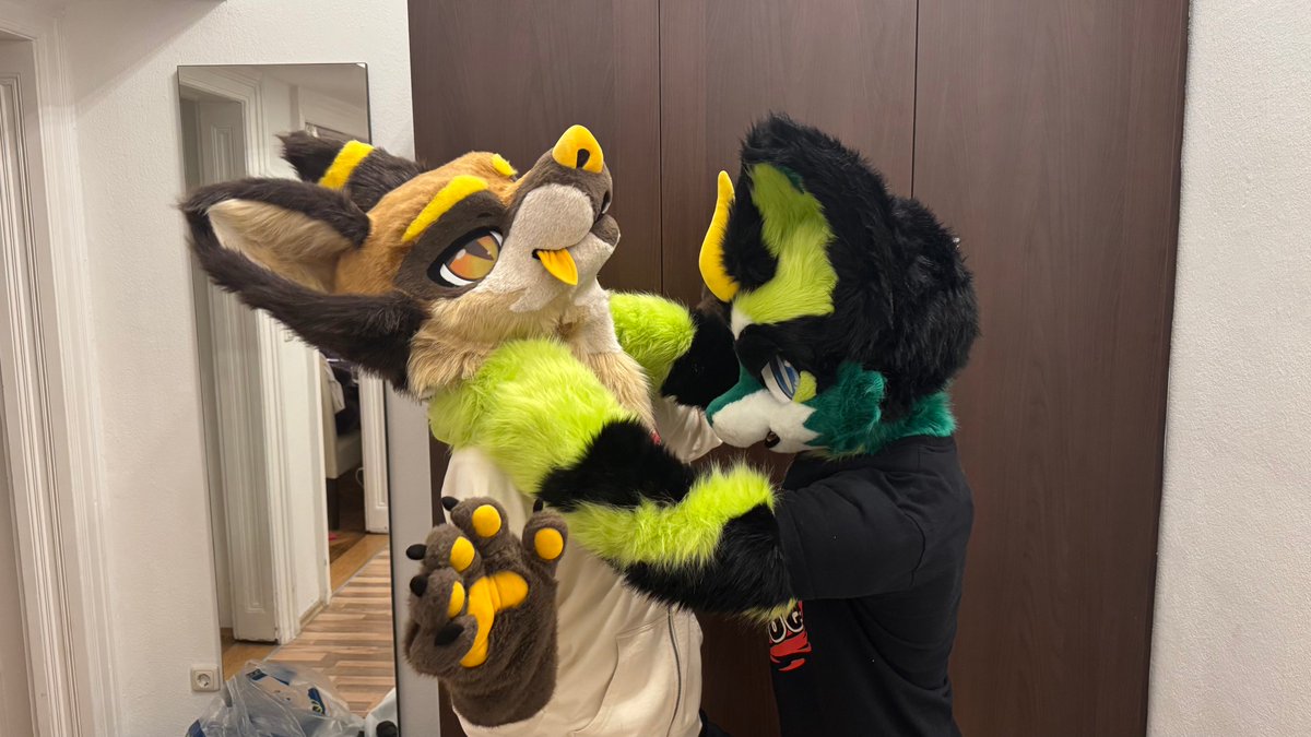 ⚠️ 酗酒对毛茸茸朋友很危害，注意安全。please drink responsibly to avoid combat.

🐱 ryu-gen.bsky.social
🐺 <a href="/Sai_ManedWolf/">Sai 🦊𖦹</a>