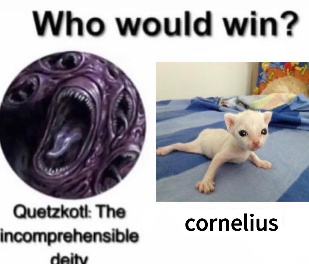 Who would win?