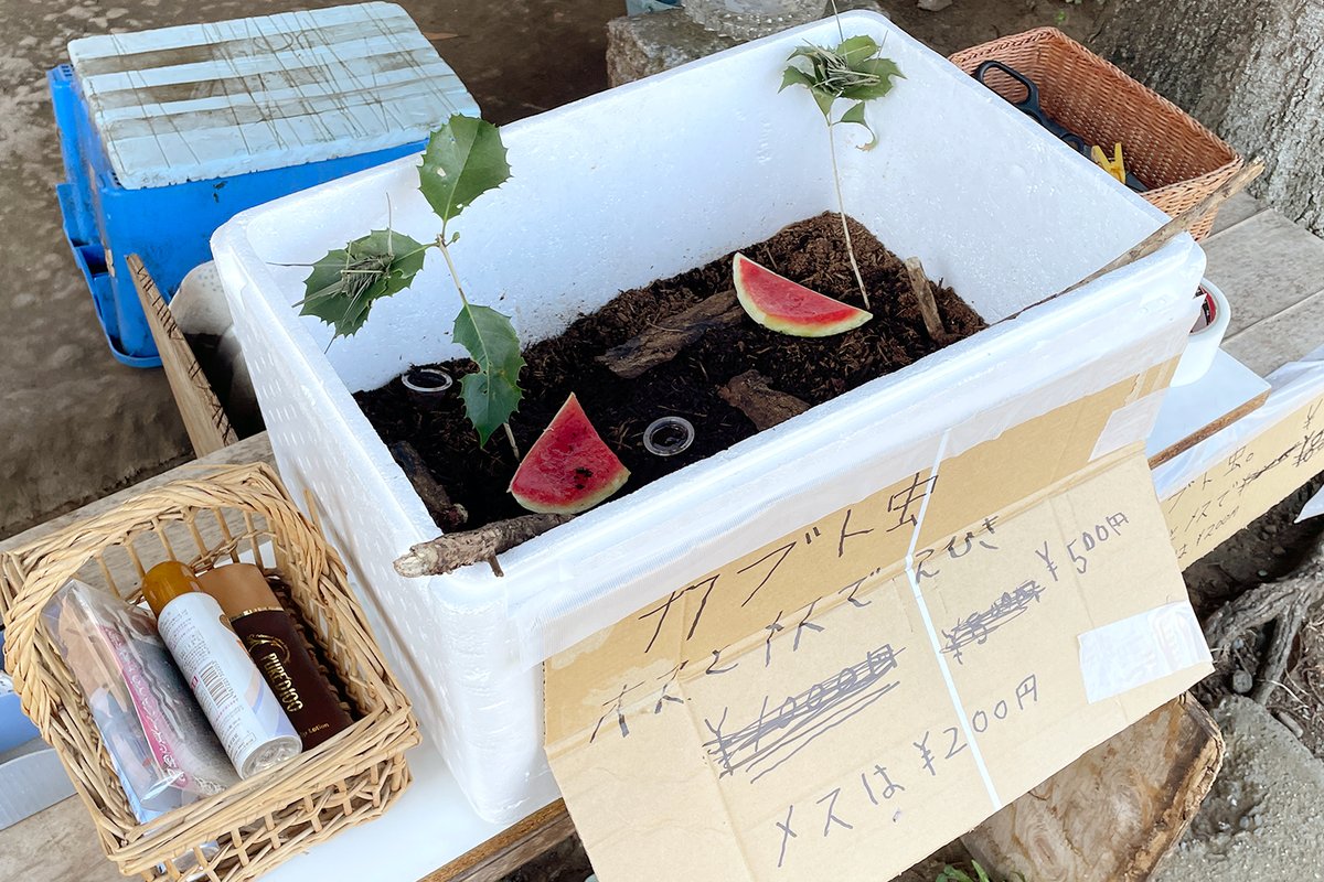 ꉂ☻ウクライナペーパーおすそ分けꉂ☻約10m ①【おすそ分け】海外メーカーmimibear fruitfries など - メルカリ