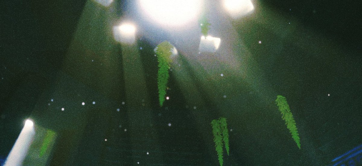 𓆑 (@s_oek1) on Twitter photo 