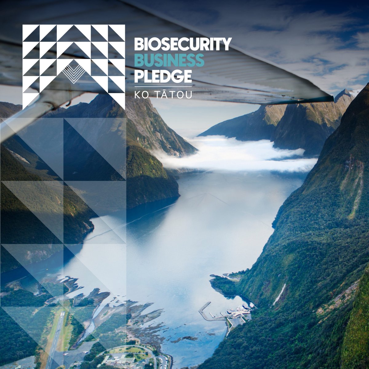 unitedfreshnz's tweet image. We are proud members of The Biosecurity Business Pledge! Learn more about the Pledge and the support &amp;amp; tools it can give your business. bbpledge.nz

#biosecuritymatters #AugustBiosecurityAwarenessMonth