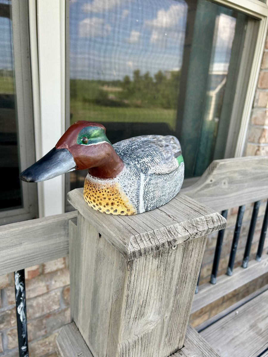 Trying something new… painted my first duck decoy