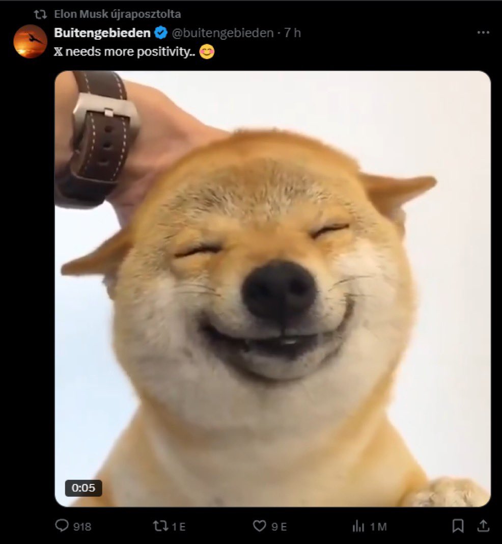 保持微笑，积极向上！＃豆包 <a href="/elonmusk/">Elon Musk</a>