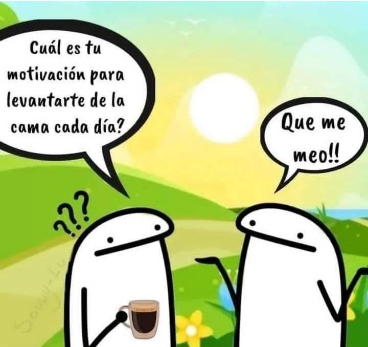 🤦‍♀️🙆🤣