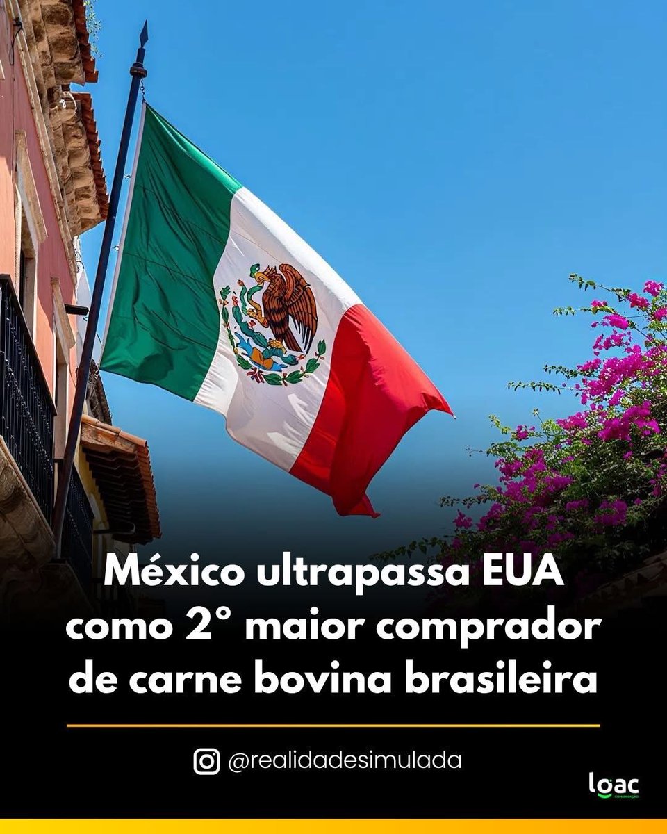 Harlen Carvalho (@carvalho_harlen) on Twitter photo 