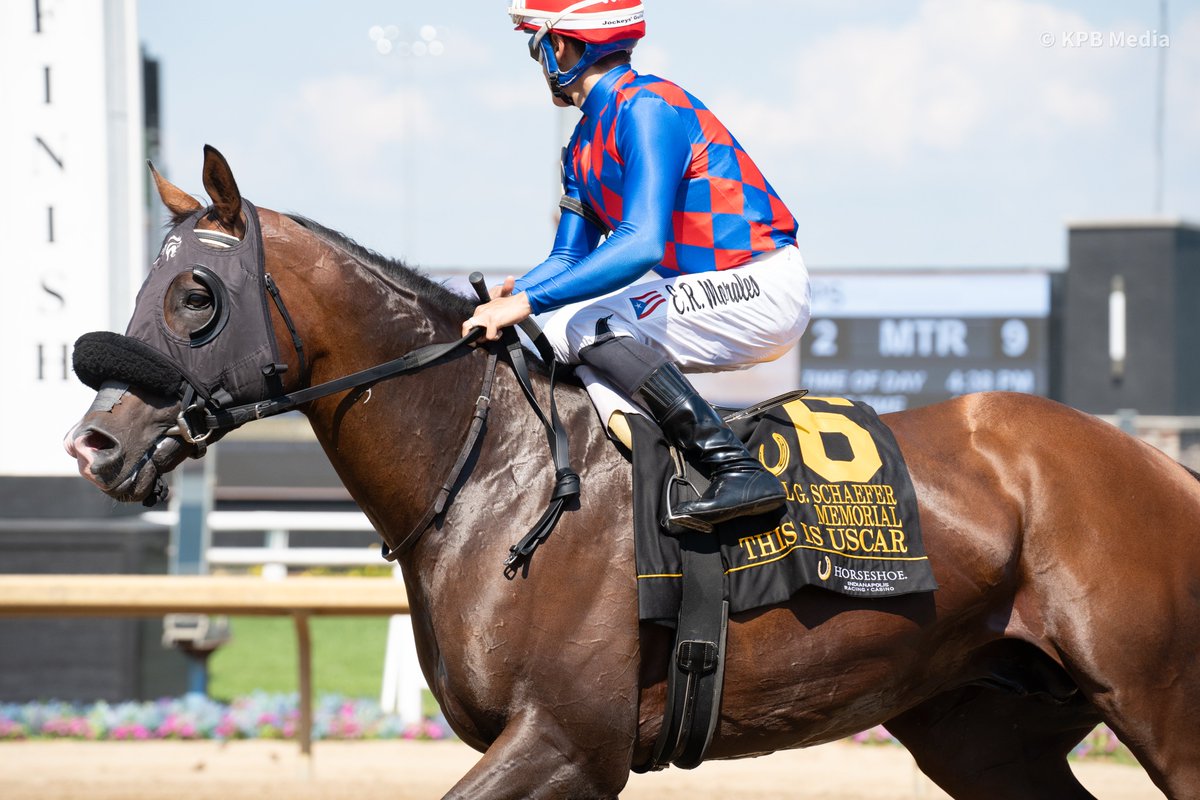 This Is Uscar, a handsome colt with a big personality, will race this weekend in the R.A. "Cowboy" Jones Stakes at <a href="/EllisParkRacing/">Ellis Park Racing & Gaming</a>.

The son of @MillRidgeFarm's Oscar Performance enters the race off back-to-back runner-up finishes — first in the Steve Sexton Mile (G3), then in