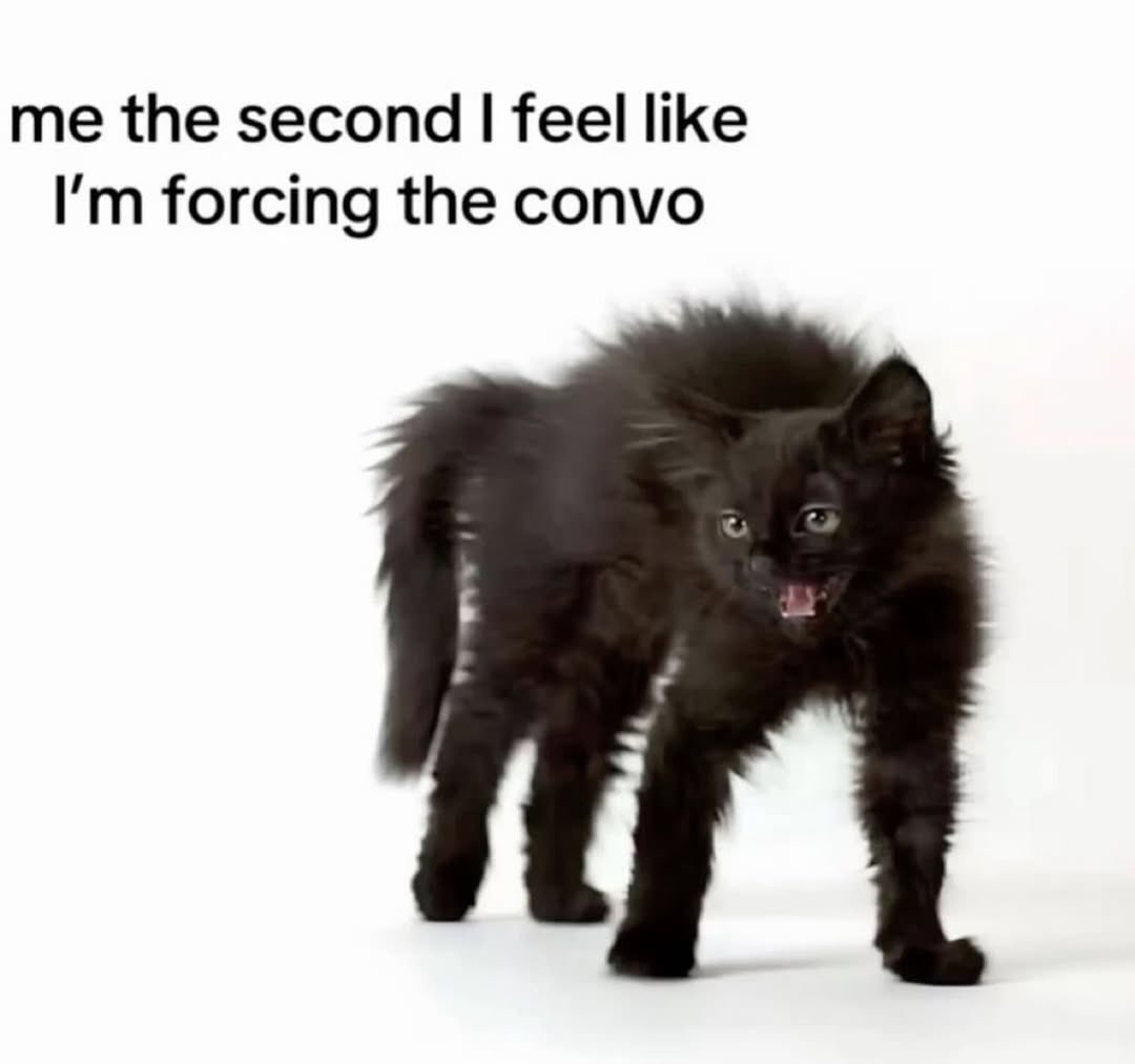 LiterallyMeCats (@literallymecats) on Twitter photo 