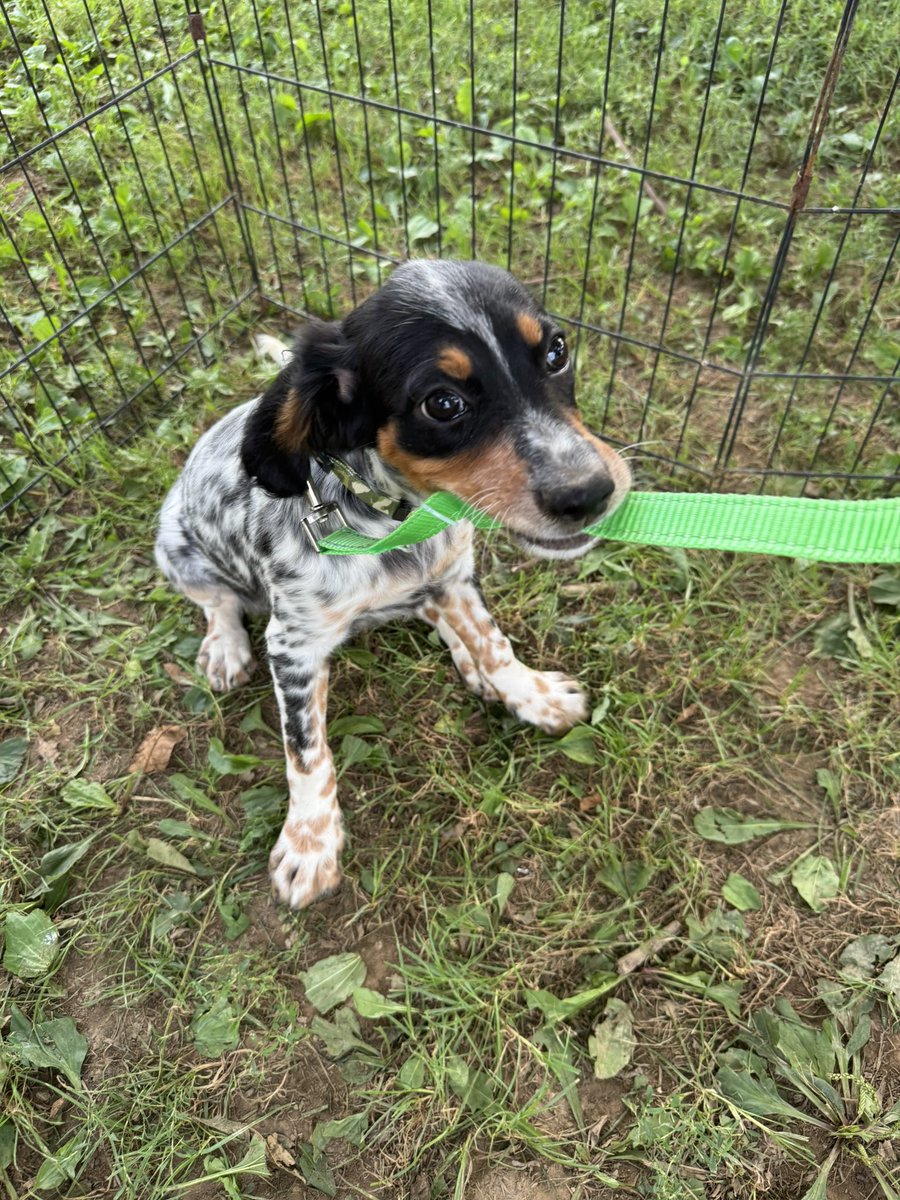 So what do we name her?