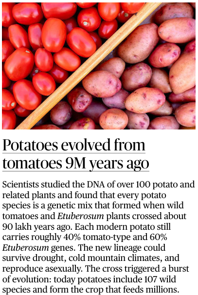 UpscNotes's tweet photo. 🚨 Did you know potatoes are part tomato? 🍅🥔
🧬 Even today, potatoes carry ~40% tomato DNA and ~60% Etuberosum DNA.
#PotatoFacts #GeneticDiscovery #Evolution #Botany #UPSC #CurrentAffairs #ScienceNews #FoodScience #DailyScience #AgricultureInnovation https://t.co/Ys11q0r1Gi