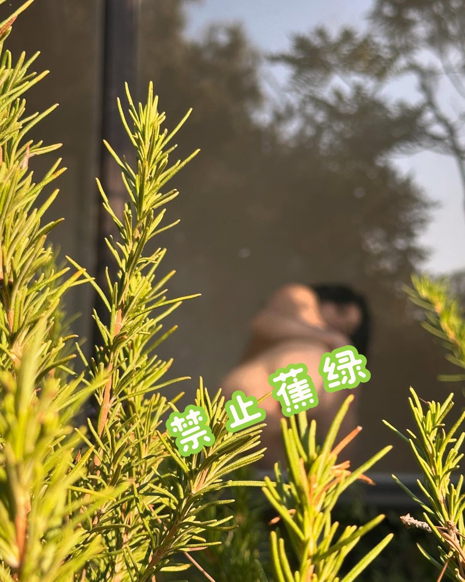 后入必须拉着我手拍打我屁股