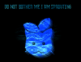 🦋 (@smolegit) on Twitter photo 