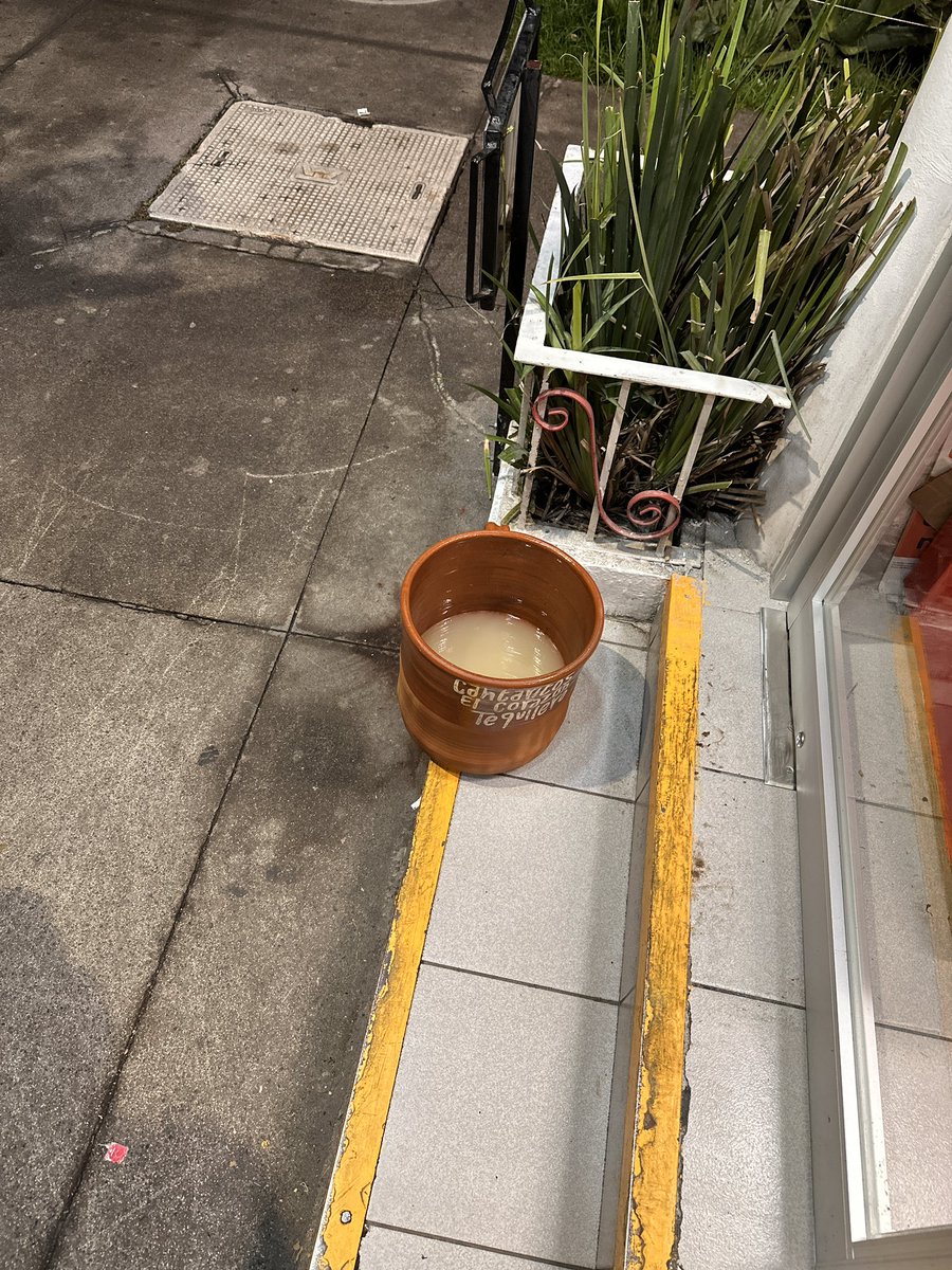 Carlosalvator12's tweet photo. Sin duda alguna que buen fin de semana con mis amigos. Círculo pequeño pero calidad antes que cantidad https://t.co/MEPUxJSV11