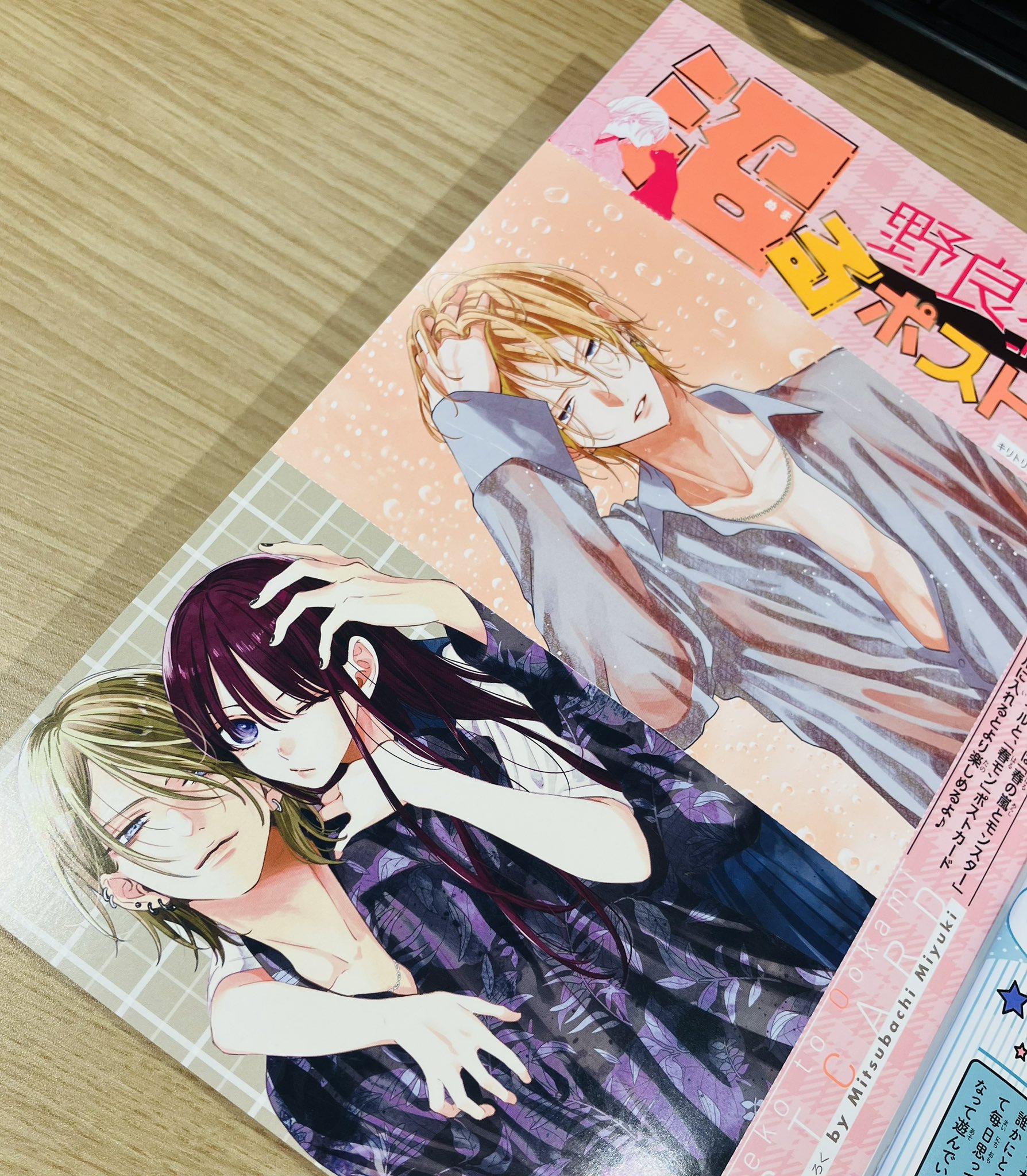 野良猫と狼　ミユキ蜜蜂 野良猫と狼 コミック 1-5巻セット (白泉社) | ミユキ蜜蜂 |本