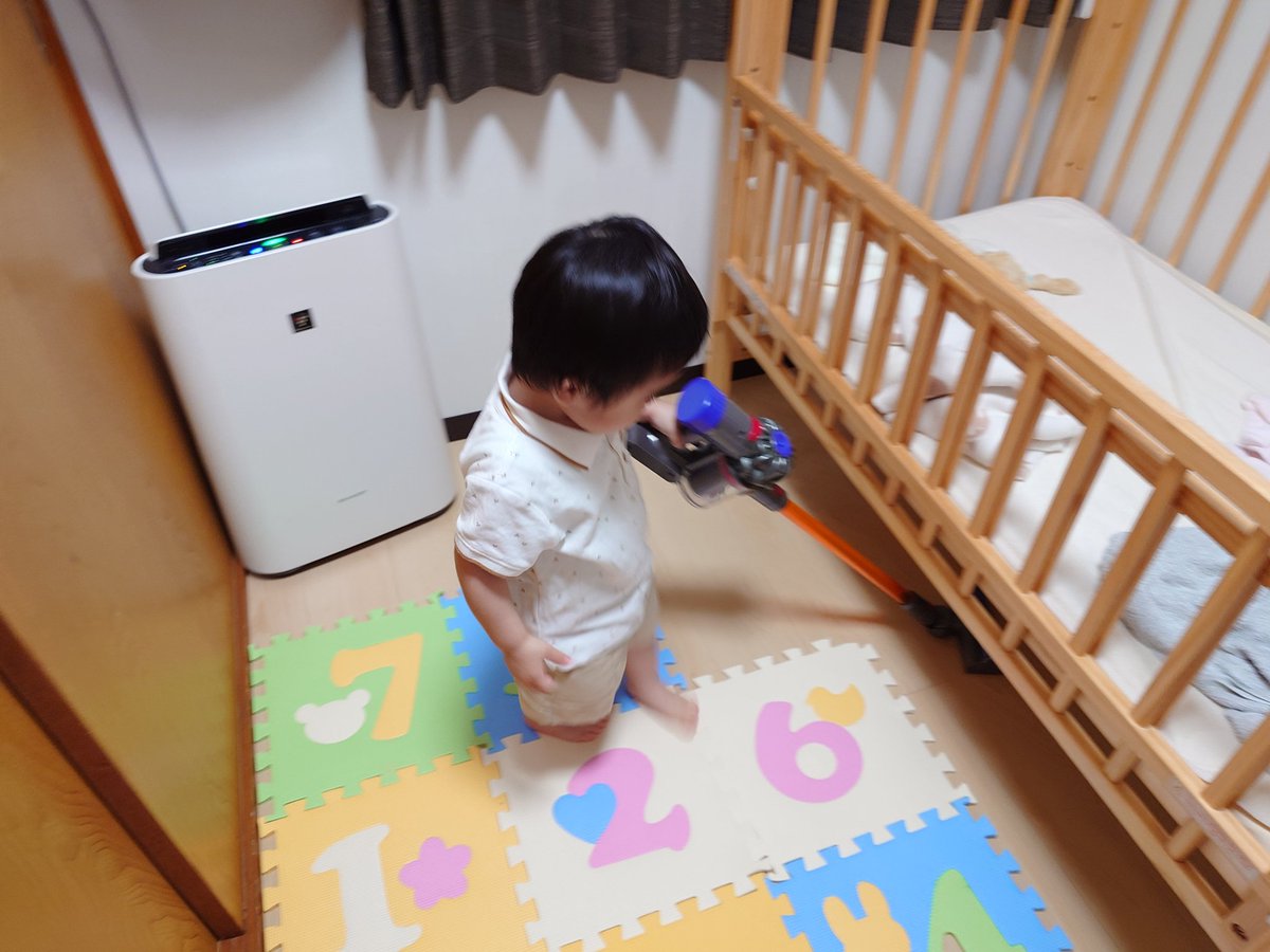 ダイソンのおもちゃを手に入れ掃除に目覚めた男🐹