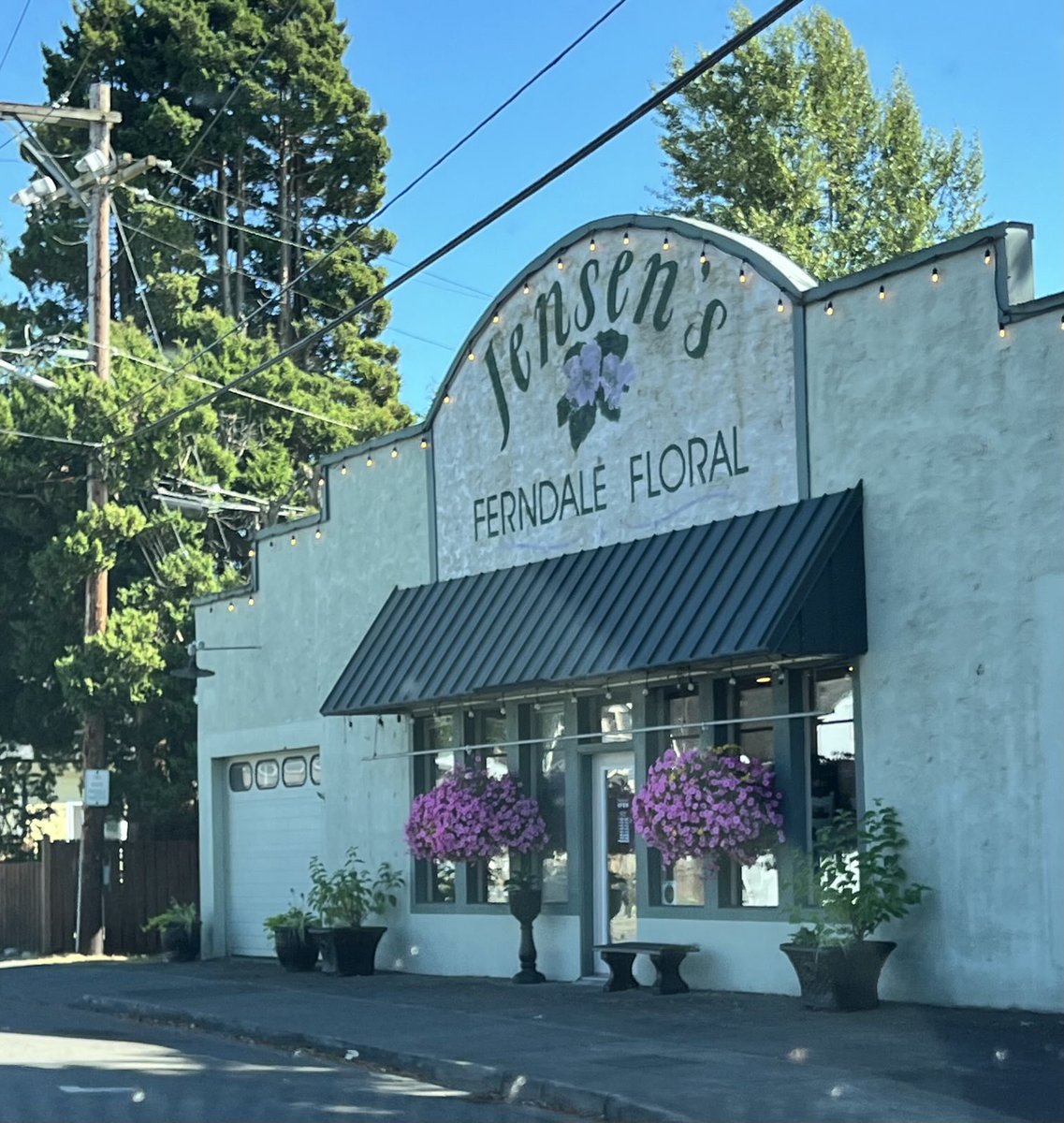 NancyPettit's tweet photo. @AgWriterArk Here are a few clicks from my phone as we drove through #FerndaleWA last week. It’s a 15 min drive from Bellingham, quaint town of about 16k people. #whereidrive #inmyelement #whatisee #PNW https://t.co/c7KE22l6w1