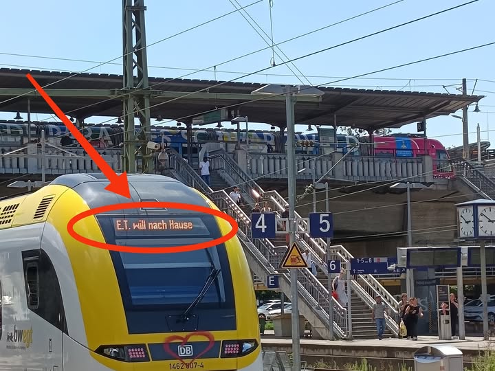 Neulich in Freiburg im Breisgau.