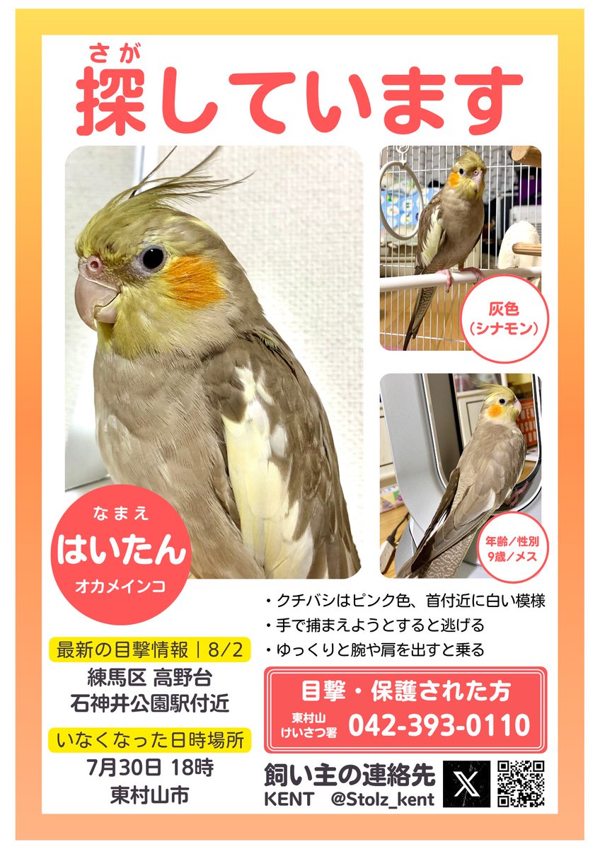 Yukino_ (@Yukino48396221) / X