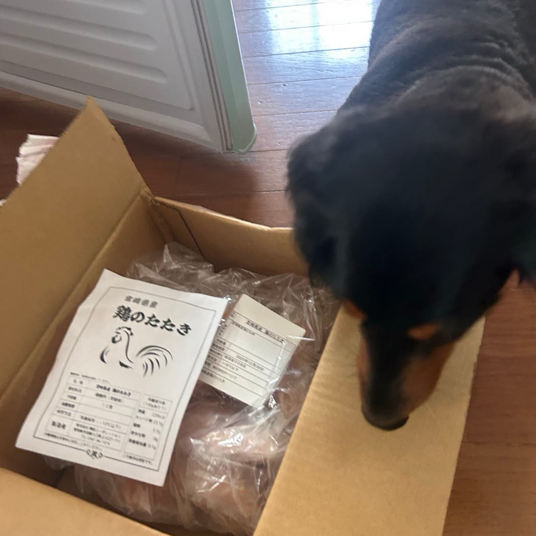 mokamon34's tweet photo. 宮崎県産 鶏のたたき 1kg (約100g×約10pc 約10人前)　【食品衛生検査合格済 】　たたき 刺身 生食 鶏肉 #カウシェ
https://t.co/fsyeAOuhzE https://t.co/C8leLvygzf