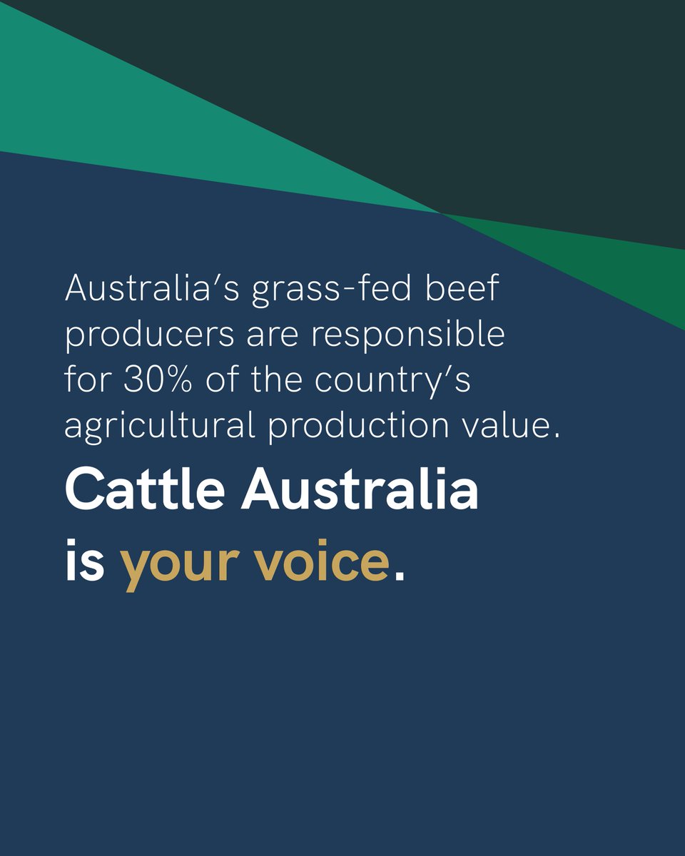 ⚠️  An independent review of the US beef #biosecurity decision must address five major questions 👉 cattleaustralia.com.au/independent-in…
Add your voice to CA’s efforts in Canberra!