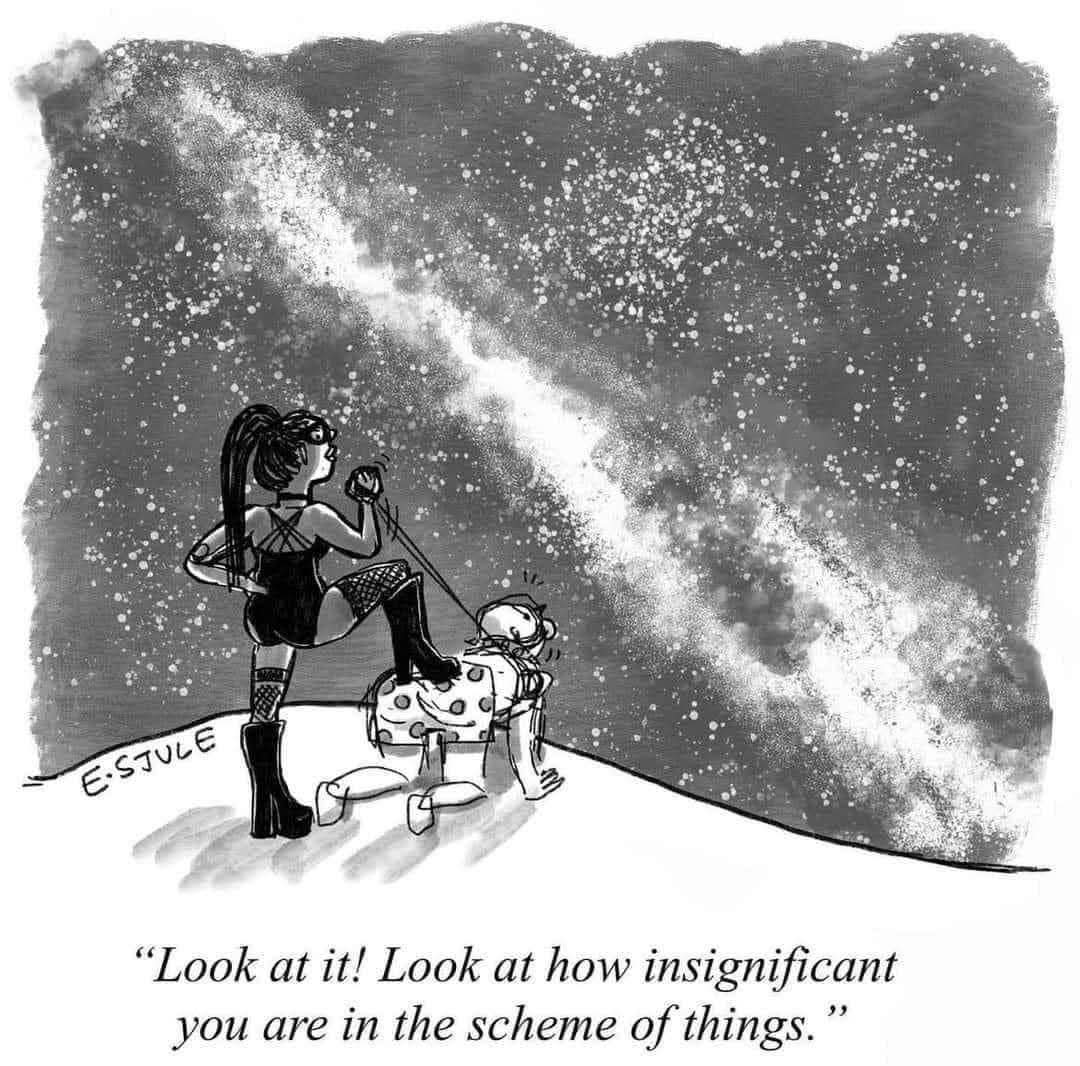 Amber Kitsune tweet media