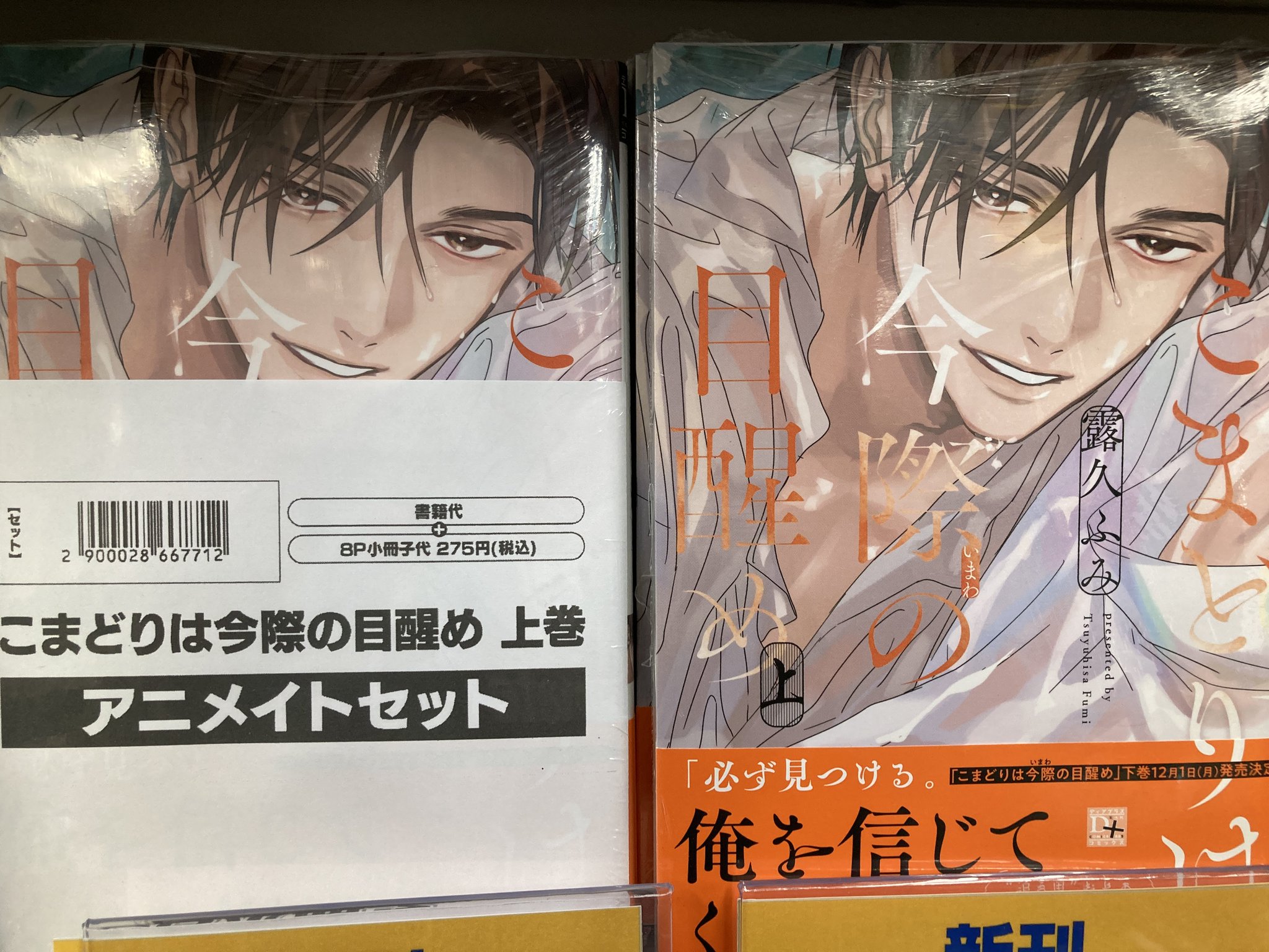 トラマギ アニメイト 小冊子 トラブル・マギア ～訳アリ少女は未来を勝ち取るために異国の