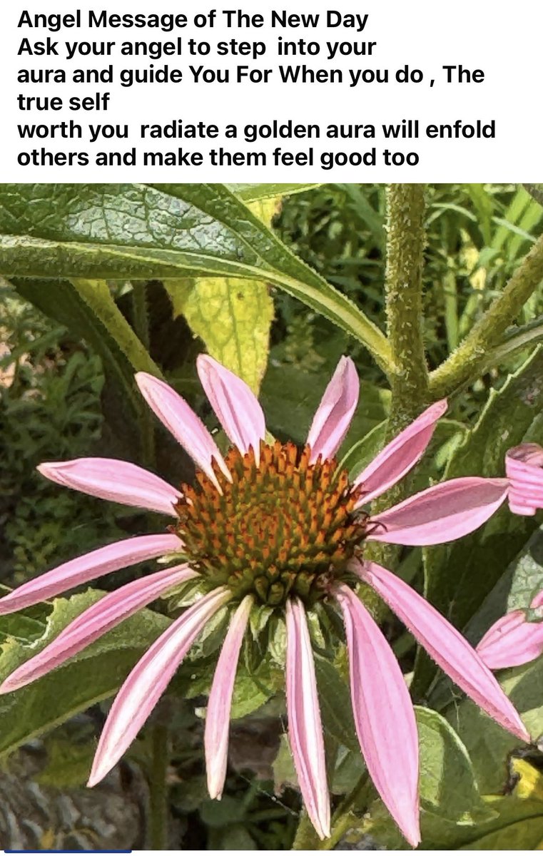 annenina45's tweet image. #angelmessage #inspiration