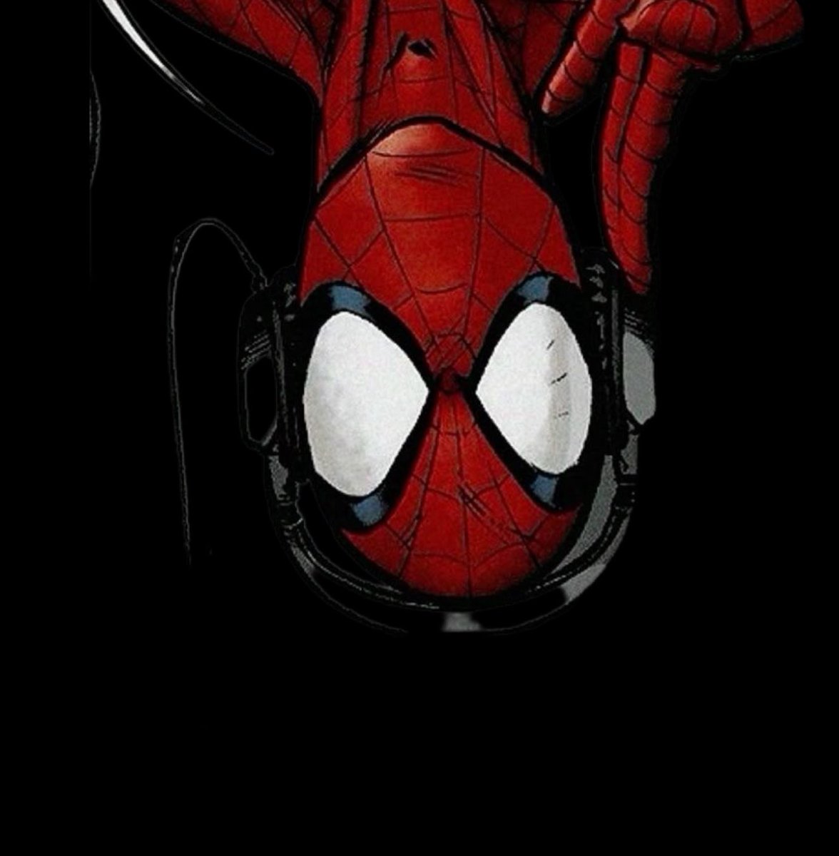 — （ 🕸️ tweet media