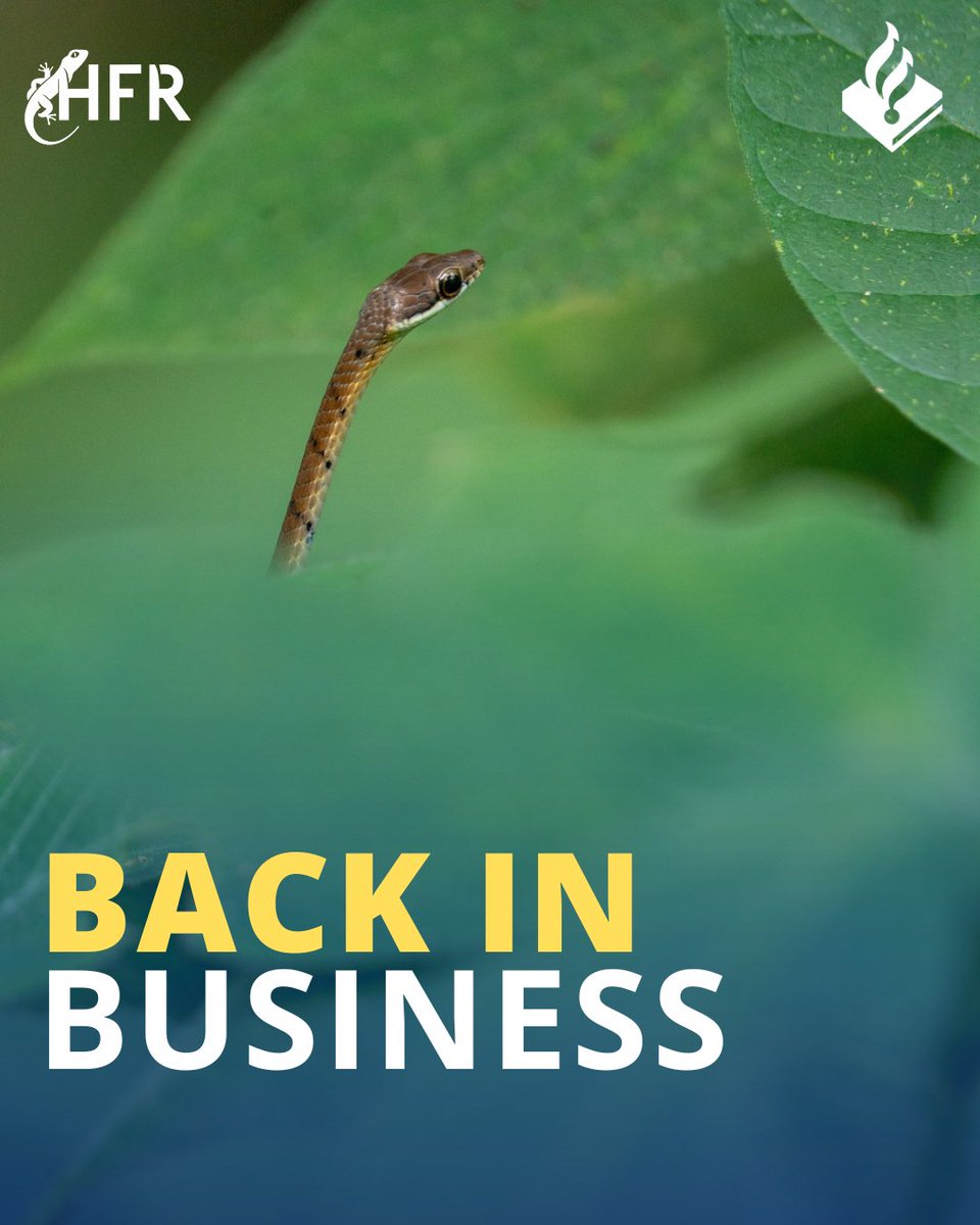 Operationeel Expert Hugo Roossink tweet media