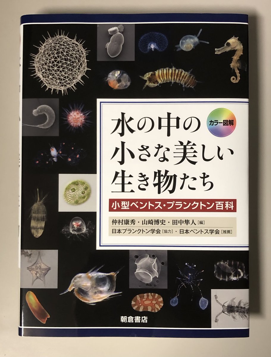 Keiichi Kakui (@Tanaidologist) / Posts / X