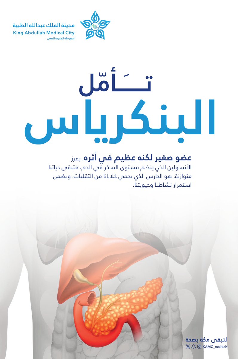 مدينـة المـلك عبـدالله الطبيـة (@kamc_makkah) on Twitter photo #تأمل
بصمتٍ دقيق، ينظم البنكرياس حياتك
ميزان خلقه الله بإتقان.
#مكة_مدينة_القلب_الآمن #تأمل
بصمتٍ دقيق، ينظم البنكرياس حياتك
ميزان خلقه الله بإتقان.
#مكة_مدينة_القلب_الآمن