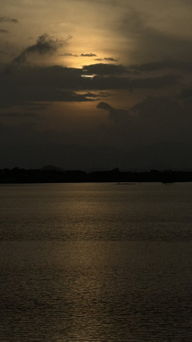 stfuakshhh tweet media