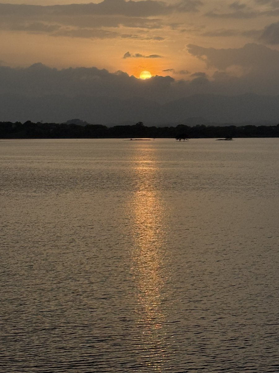 stfuakshhh tweet media