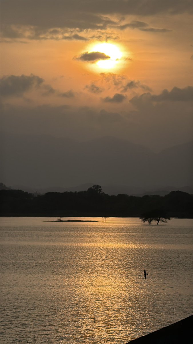 stfuakshhh tweet media