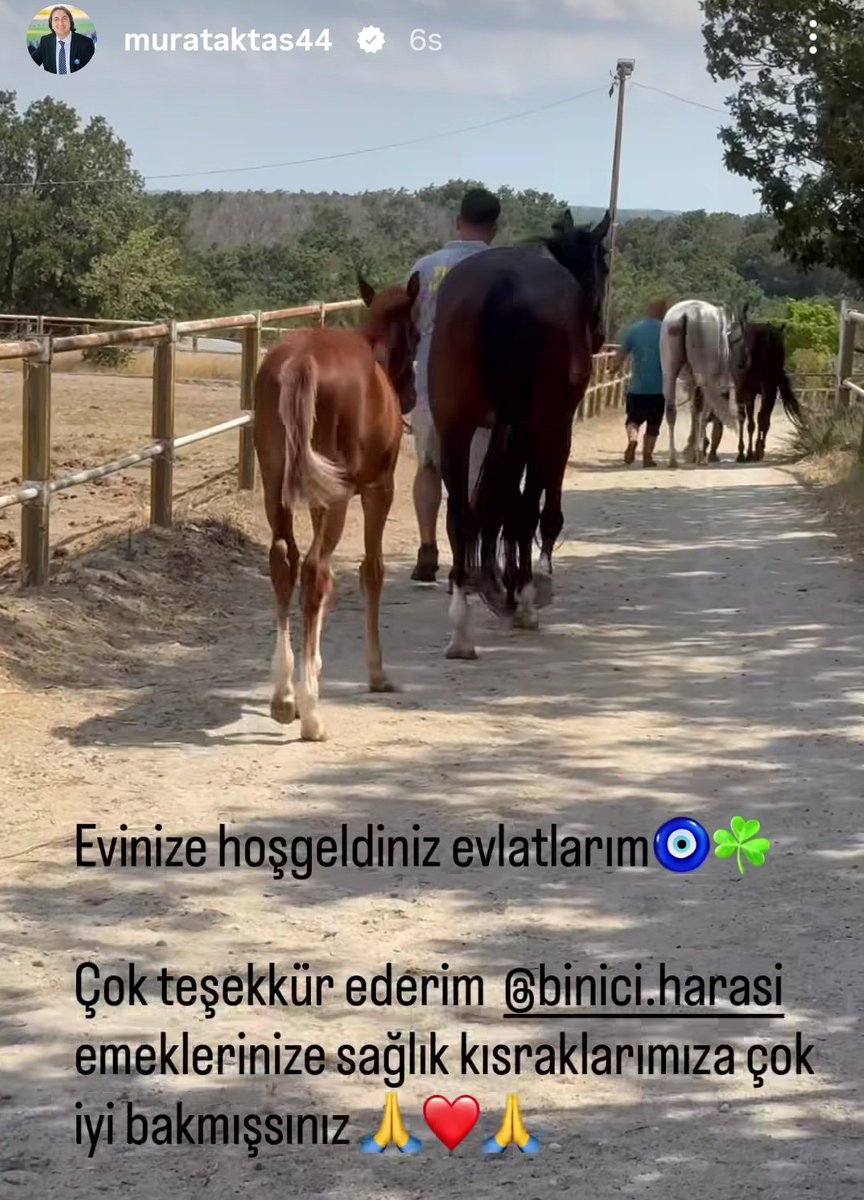 Bizde sizlere Tşk ediyoruz Abi. EL CONQUERADOR'dan beklentimiz çok. 
Haramızda yer alan Bütün At'lara gözümüz gibi bakıyoruz.
Sizede yeni yeriniz için Hayırlı Olsun dileklerimizi gönderiyoruz.