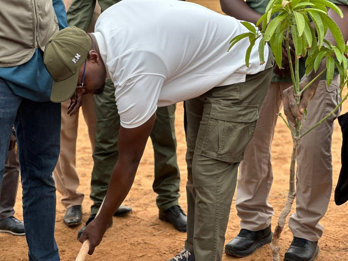 Merci au Premier ministre Ousmane SONKO qui a présidé ce dimanche 03 la cérémonie officielle de la journée nationale de l’arbre 2025 à Rao. Il a demandé à tous les citoyens sénégalais de participer activement au challenge lancé hier par le Président de la République: « 1 millions
