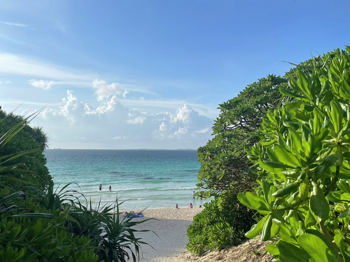 おはようございます！
先月、宮古島に行ってきました🌴
美しい海と美味しい食べ物を満喫して、身も心もリフレッシュできました🌊

#コレCARラ
#企業公式相互フォロー
#企業公式夏のフォロー祭り