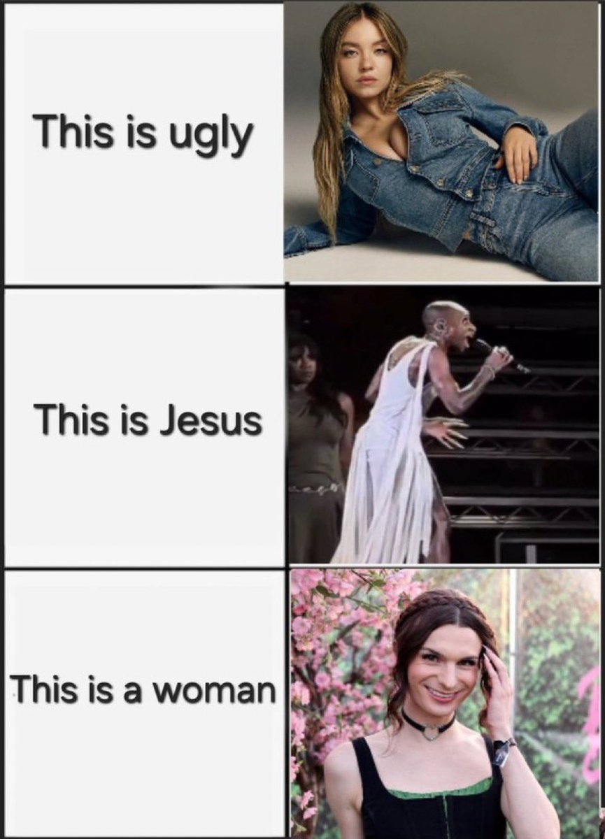 The Woke Mind Virus 🦠 😵‍💫