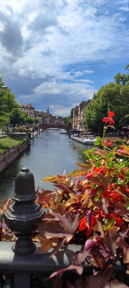 Rhen Nehri'ni takip ederek güneye iniyoruz... 
Strazburg 🇫🇷