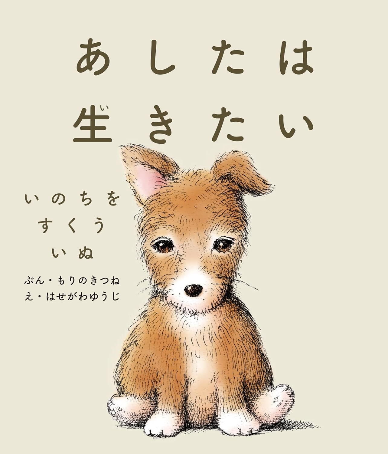 はせがわゆうじ on X: 